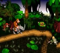 une photo d'Ã©cran de Donkey Kong Country sur Nintendo Super Nes